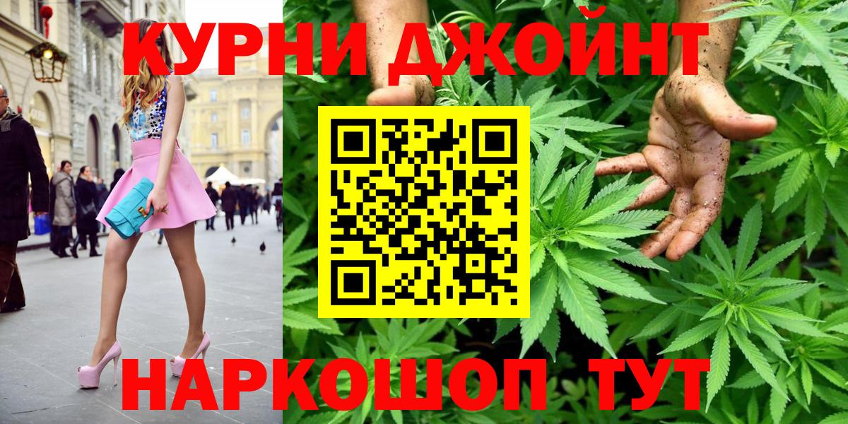 Бошки Шишки план Новый Уренгой